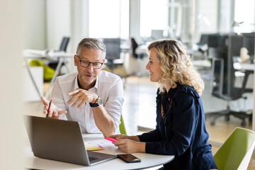 Mature businessman with laptop explaining business plan to colleague while sitting at table in office