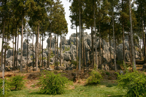 The Beautiful Stone Forest outside of Kunming China