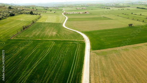 Green rural land with dirt road seen from drone photo