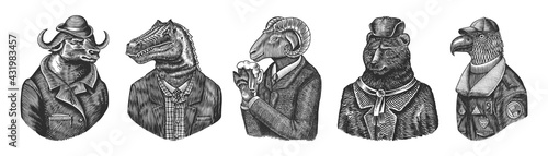 Buffalo Bull in hat. Dinosaur allosaurus tyrex quiz gentleman. Sheep drinks beer. Bear in Russian fur coat. Eagle aviator pilot. Engraved monochrome old illustration. Hand drawn sketch.