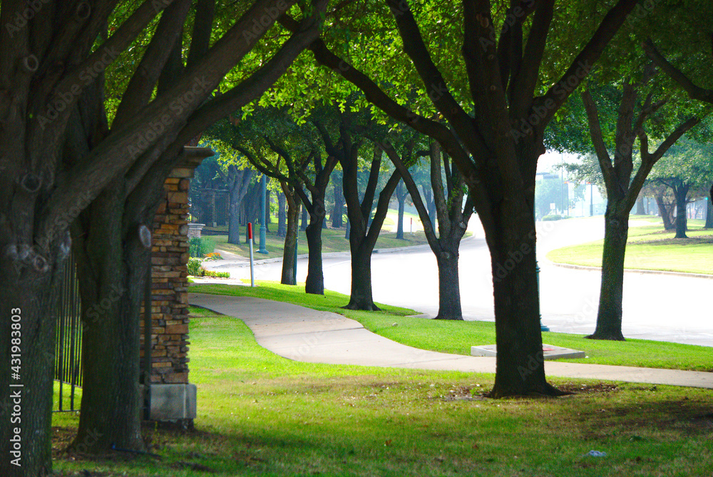 A sidewalk tree lined path in the downtown area of Frisco, TX Texas in DFW. - obrazy, fototapety, plakaty 