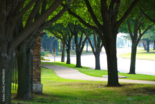 Fotografie A sidewalk tree lined path in the downtown area of Frisco, TX Texas in DFW