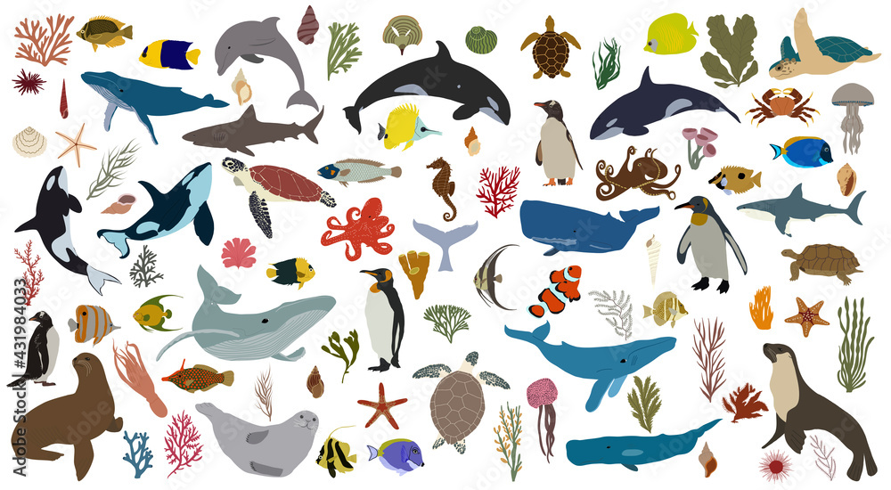 Oceanic animals. Big sea set. Vector illustration.

