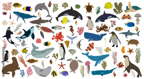 Oceanic animals. Big sea set. Vector illustration.
