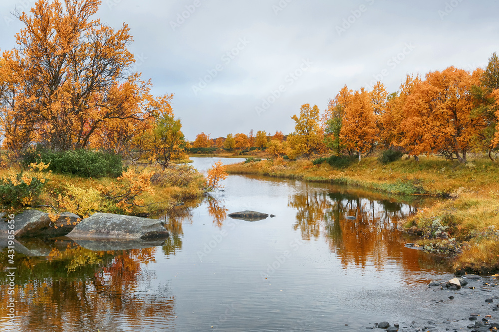Fototapeta premium Fall in Norway