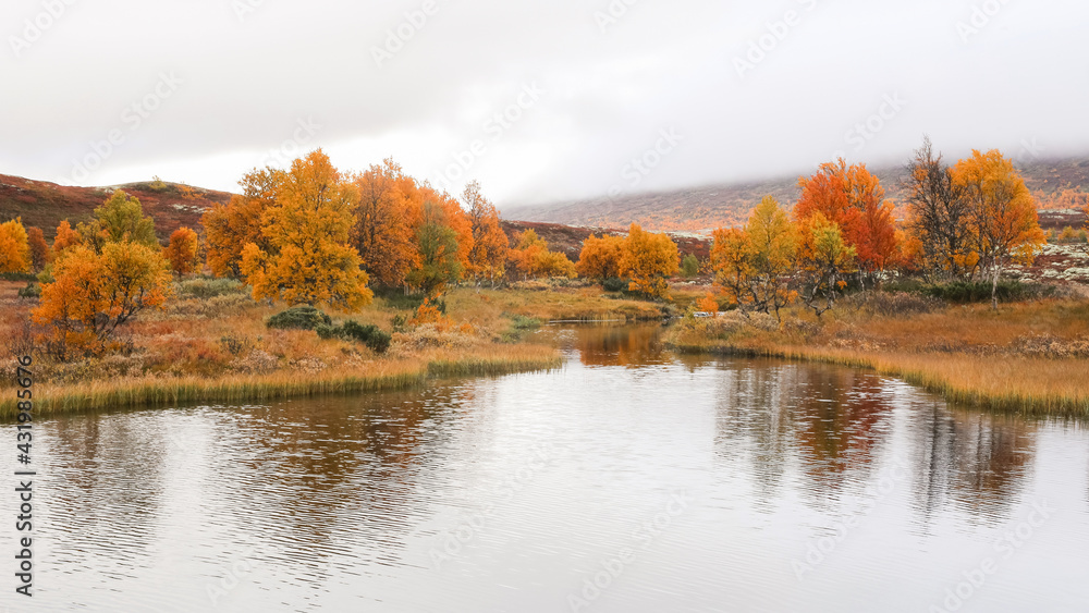 Fall in Norway Fall in Norway