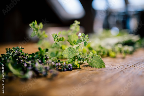 Fresh herbs on wooden table photo
