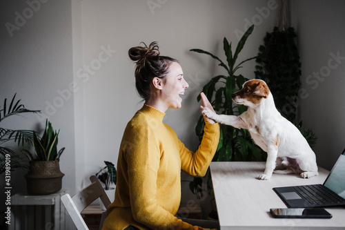 Playful woman giving high-five to dog while sitting at home office photo
