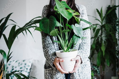 Woman holding Monstera plant against wall at home