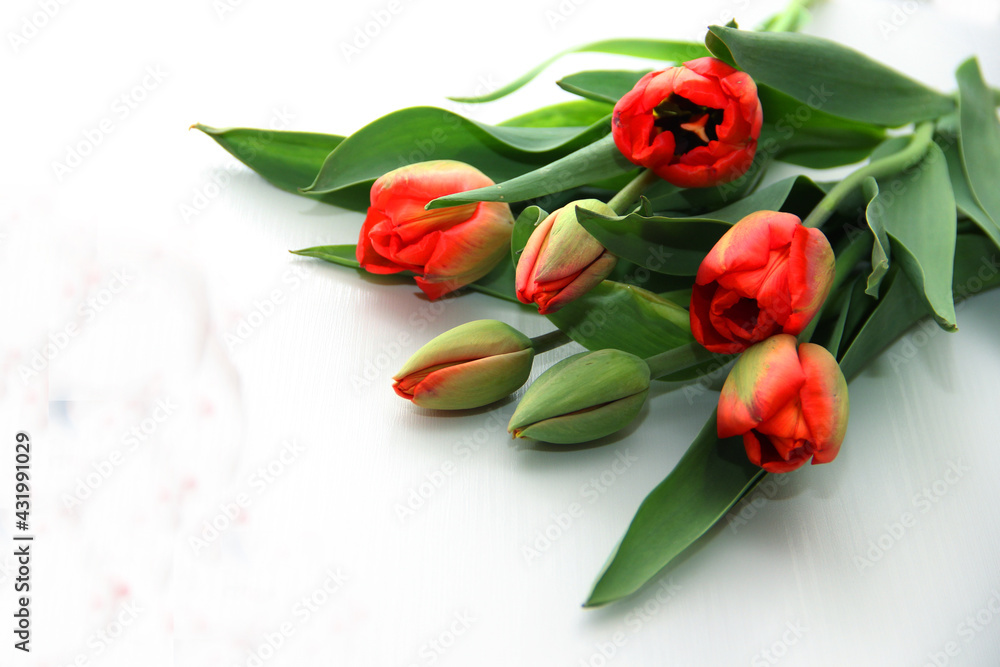 a bouquet of red tulips lies on a light table a bouquet of red tulips lies on a light table