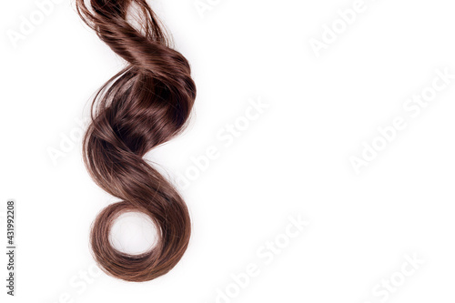 Curly brown hair isolated on white background. Beautiful healthy long chocolate brown hair lock, haircut, hairstyle. Dyed hair or coloring, hair extension, cure, treatment concept. photo