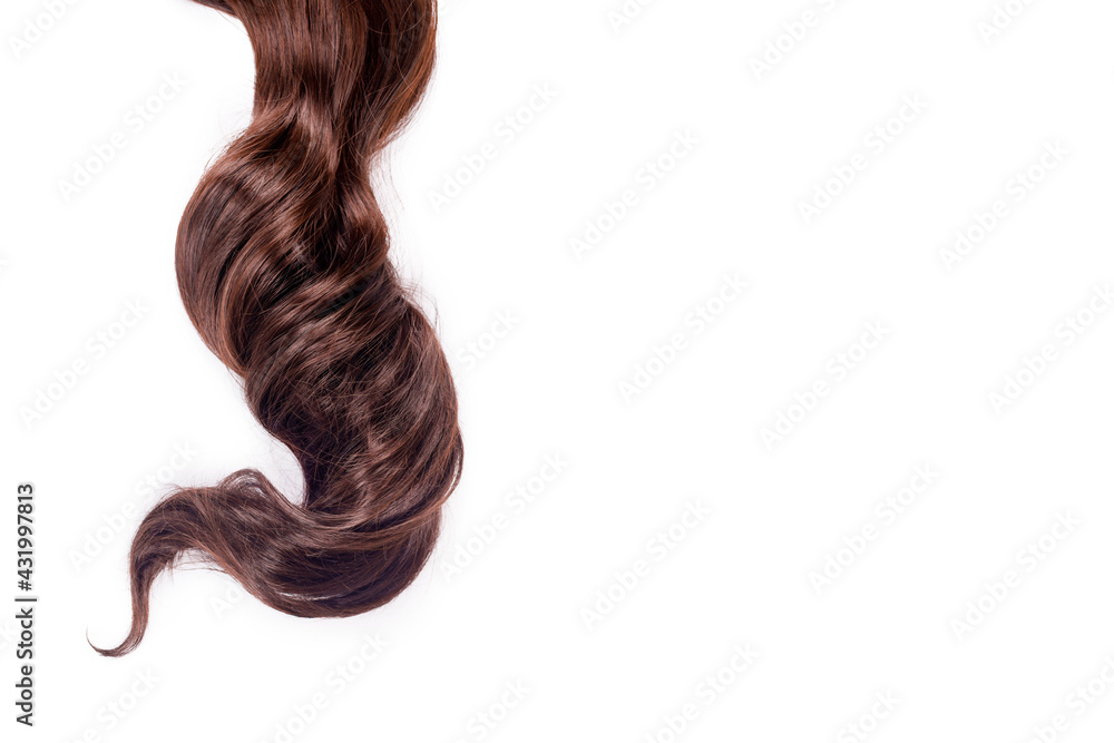 Curly brown hair isolated on white background. Beautiful healthy long chocolate brown hair lock, haircut, hairstyle. Dyed hair or coloring, hair extension, cure, treatment concept. Curly brown hair isolated on white background. Beautiful healthy long chocolate brown hair lock, haircut, hairstyle. Dyed hair or coloring, hair extension, cure, treatment concept.