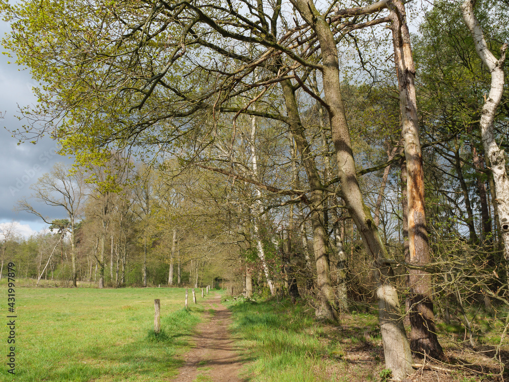 Die Dingdener Heide am Niederrhein Die Dingdener Heide am Niederrhein