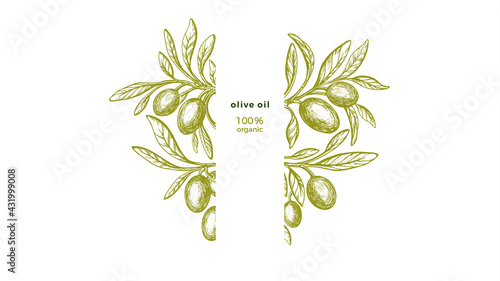 Olive frame Vector texture twig, green fresh fruit