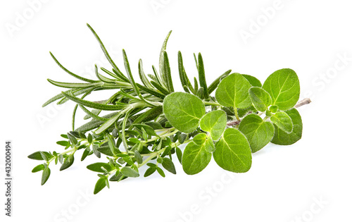 Oregano leaves, rosemary and thyme isolated on white background. Mixture of herbs. Herbs fresh  closeup. photo