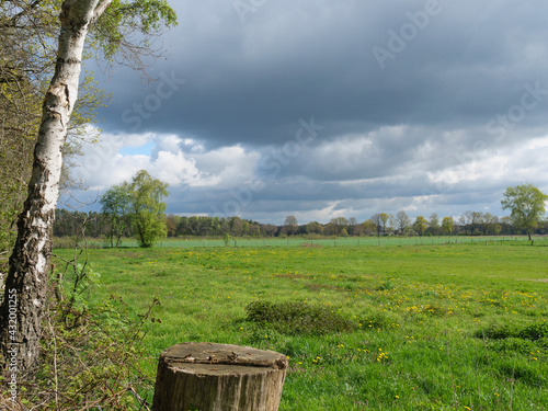 Die Dingdener Heide in Westfalen