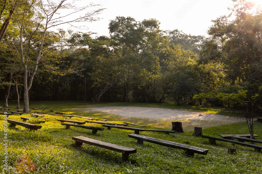 Obraz premium parque em final de tarde com o sol iluminando
