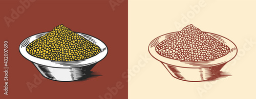 Mustard seeds or Spicy condiment. Dip or dipping sauce. Illustration for Vintage background or poster. Engraved hand drawn sketch.