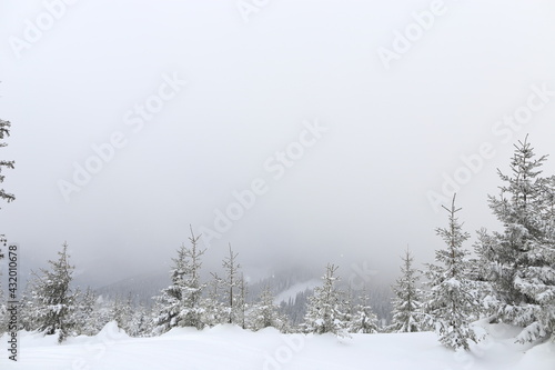 Beautiful winter landscape with snow covered trees in Czech Republic
