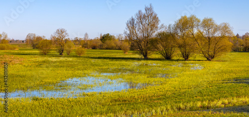 Early spring panoramic view of Narew river valley wooded wetlands and nature reserve in Zajki village near Wizna in Podlaskie voivodship in Poland
