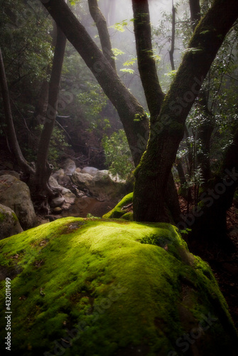 Painted Cave Creek, Santa Ynez Mountains photo