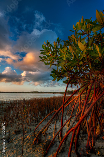 Little Exuma, Bahamas photo