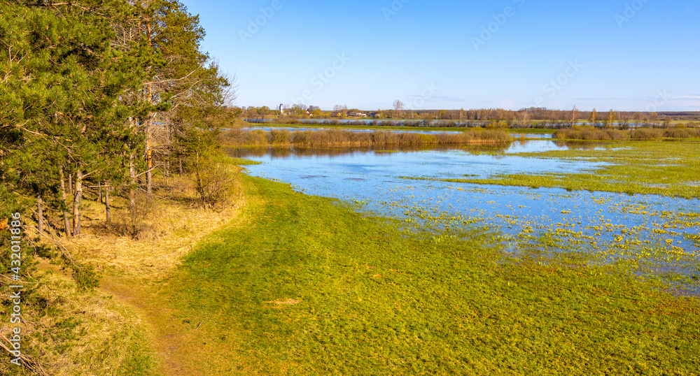 Early spring panoramic view of Narew river valley wooded wetlands and nature reserve in Zajki village near Wizna in Podlaskie voivodship in Poland Early spring panoramic view of Narew river valley wooded wetlands and nature reserve in Zajki village near Wizna in Podlaskie voivodship in Poland