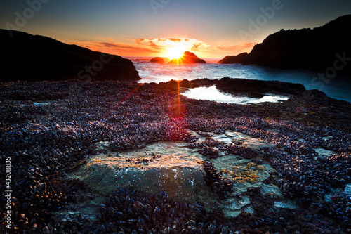 Layers of mussels are exposed to the setting sun on Second Beach in Olympic National Park in Washington.