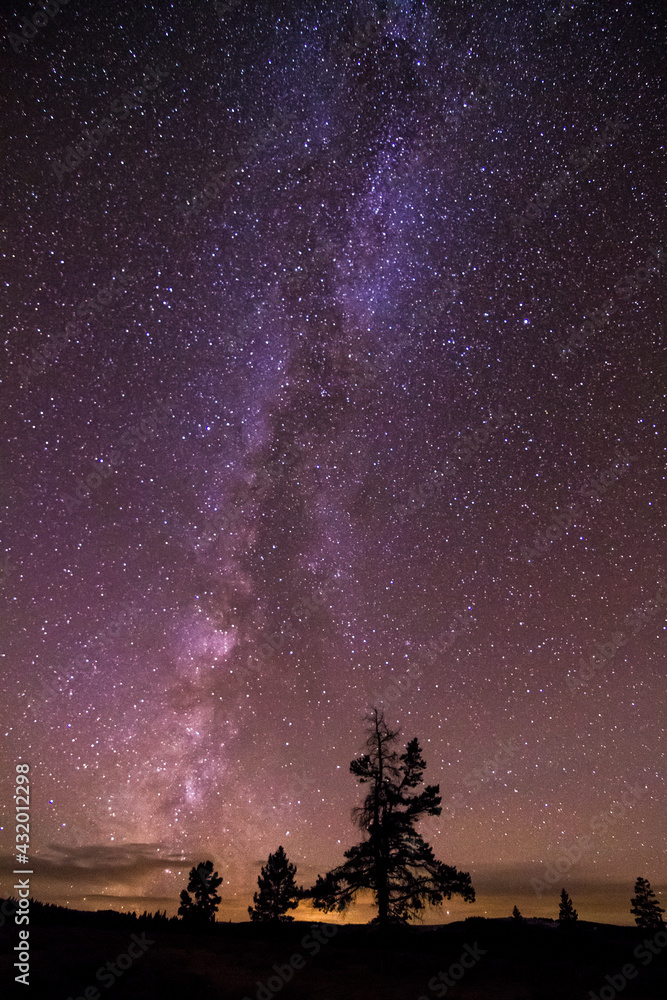 The Milky Way Galaxy extends out from a small cluster of trees in the Bighorn Mountains of Wyoming. The Milky Way Galaxy extends out from a small cluster of trees in the Bighorn Mountains of Wyoming.