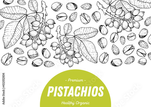 Pistachios hand drawn sketch. Nuts vector illustration. Organic healthy food. Great for packaging design. Engraved style. Black and white color.