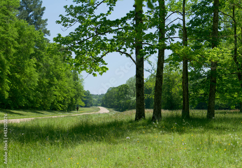 Mile marker 200 to 100, Natchez Trace Parkway, Tennessee and Mississippi, USA photo