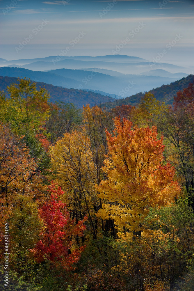 Skyline Drive Shenandoah National Park, Virginia, USA Skyline Drive Shenandoah National Park, Virginia, USA