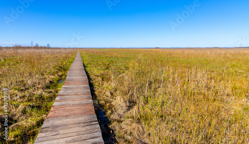 Early spring view of Biebrza river plain wetlands and nature reserve along Dluga Luka, Long Gap, sightseeing path in Podlaskie voivodship in Poland