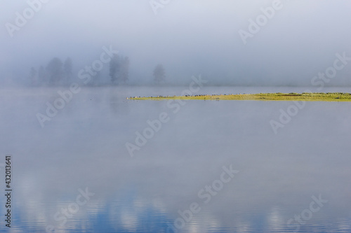 grasses make strong design lines in a pool of the Hayden Rive in Yellowstone National Park