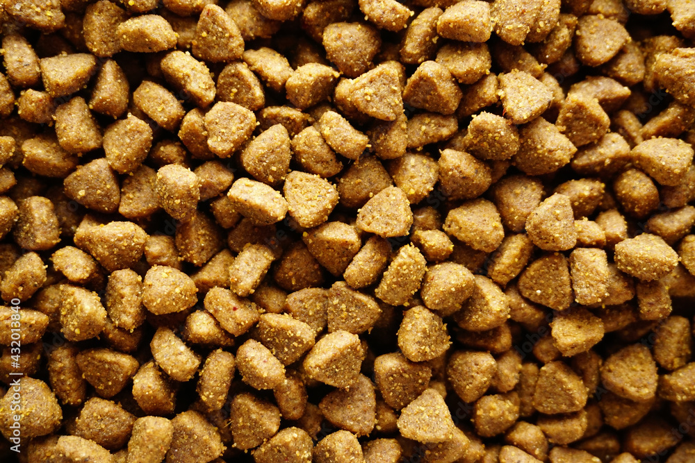 Cat food texture background close up view Cat food texture background close up view