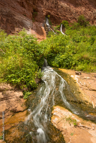 Rafting the Colorado River in the Grand Canyon National Park, Arizona. Vasey's Paradise off the Colorado River. photo