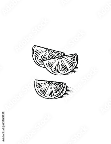 illustrations of lemon slices