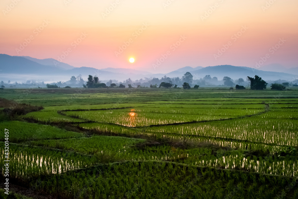 The sun sets behind foggy hills and expansive rice paddy fields near Chiang Mai, Thailand The sun sets behind foggy hills and expansive rice paddy fields near Chiang Mai, Thailand
