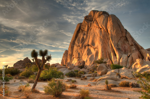 Sunset at Joshua Tree National Park in Southern California