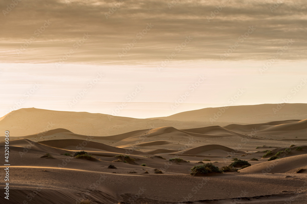 Sunset on the dunes of Sossusvlei, Namib-Naukluft National Park, Namibia. Sunset on the dunes of Sossusvlei, Namib-Naukluft National Park, Namibia.