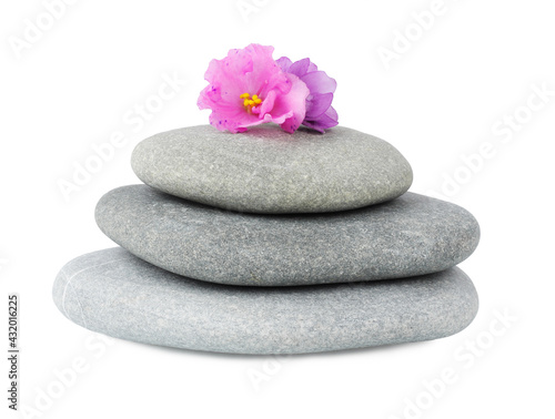 Sea stones  flowers  isolated on a white background