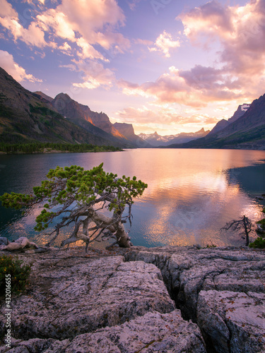 A lone trees struggles to eke out a hardy existence along the rocky and often wind scoured shore of Glacier National Park's Saint Mary's Lake. photo