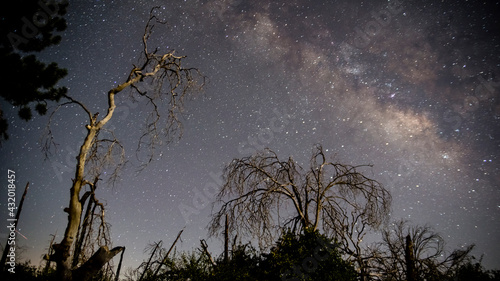 The Milky Way is visible with trees in the foreground on a clear night at Rancho Cuyamaca State Park near Julian, California.