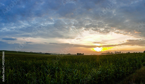 sunset over field