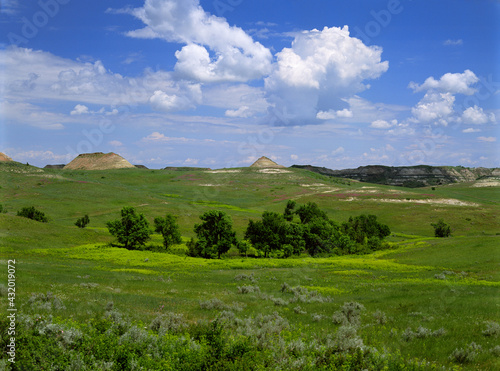 Little Missouri National Grasslands photo