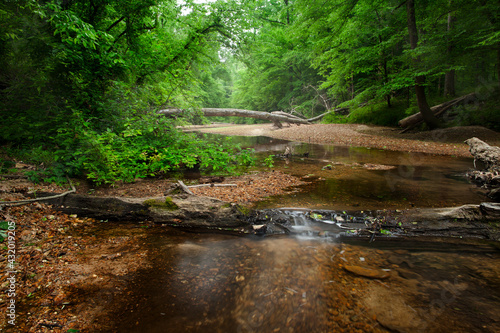 Little Sandy Creek, Rocky Springs, Natchez Trace Parkway, Tennessee and Mississippi, USA