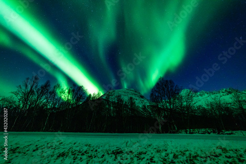 Nordlichter in Troms, Nordnorwegen. tanzende Aurora Borealis in grün, pink und weiss. wundervolles Naturerlebnis im hohen Norden in einer klaren und kalten Winternacht in den Lyngenalps.