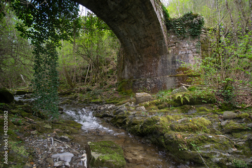 old Roman stone bridge in the forest in Tuscany. A stream flows beneath it.