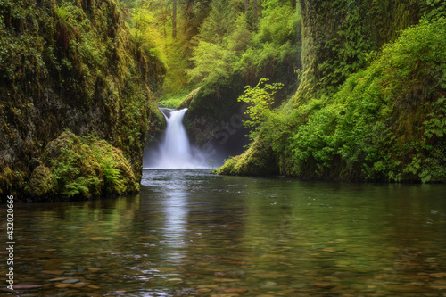 Soft light highlights lush greens, Punchbowl Falls. photo