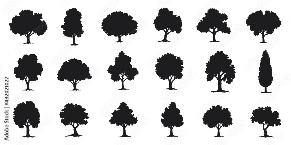 custom made wallpaper toronto digitalvarious deciduous trees silhouettes on the white background